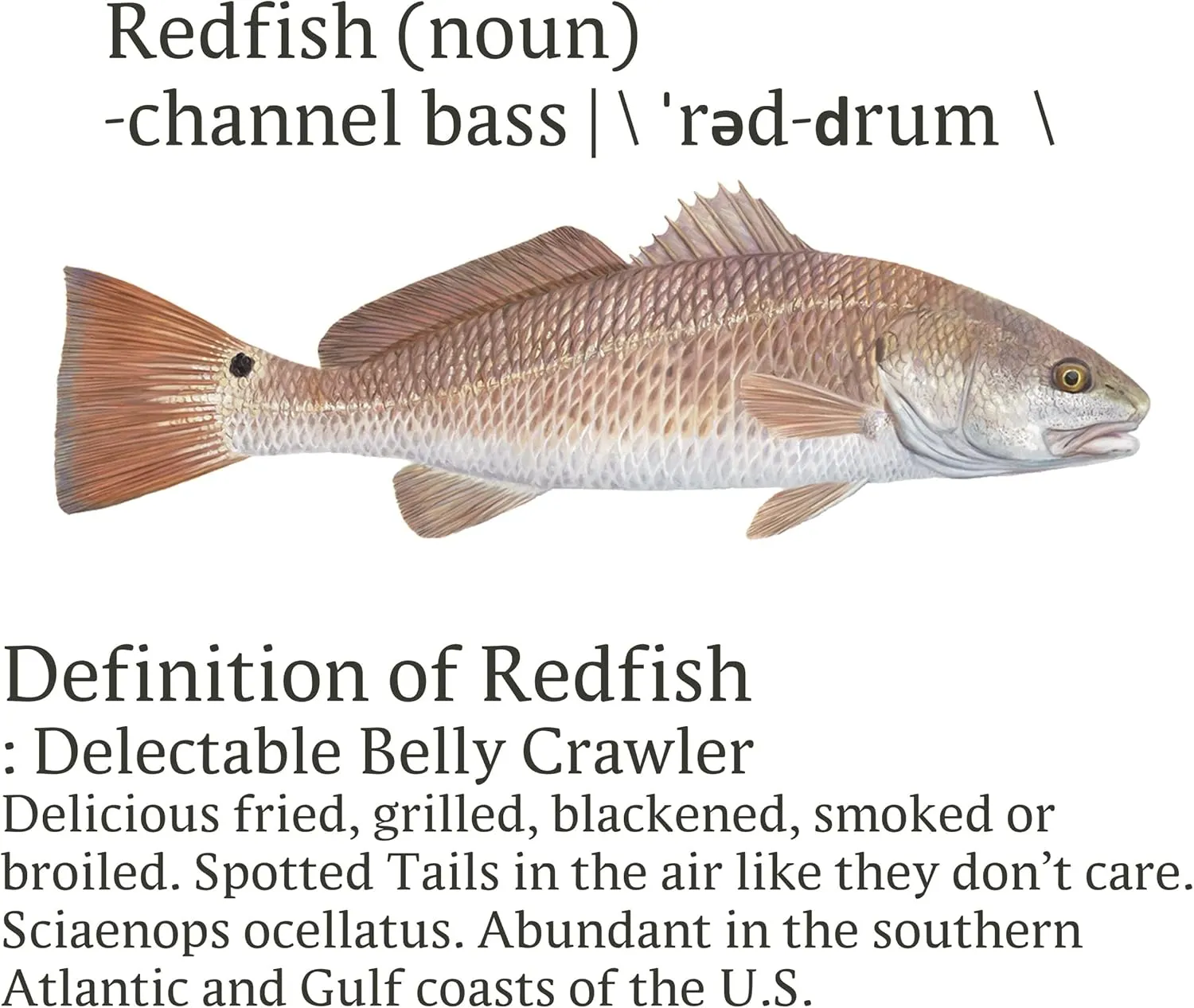 Skiff Life Redfish Red Drum Fishing Shirts Men's Quick Dry Lightweight UPF 50  Long Sleeve Shirts Moisture Wicking